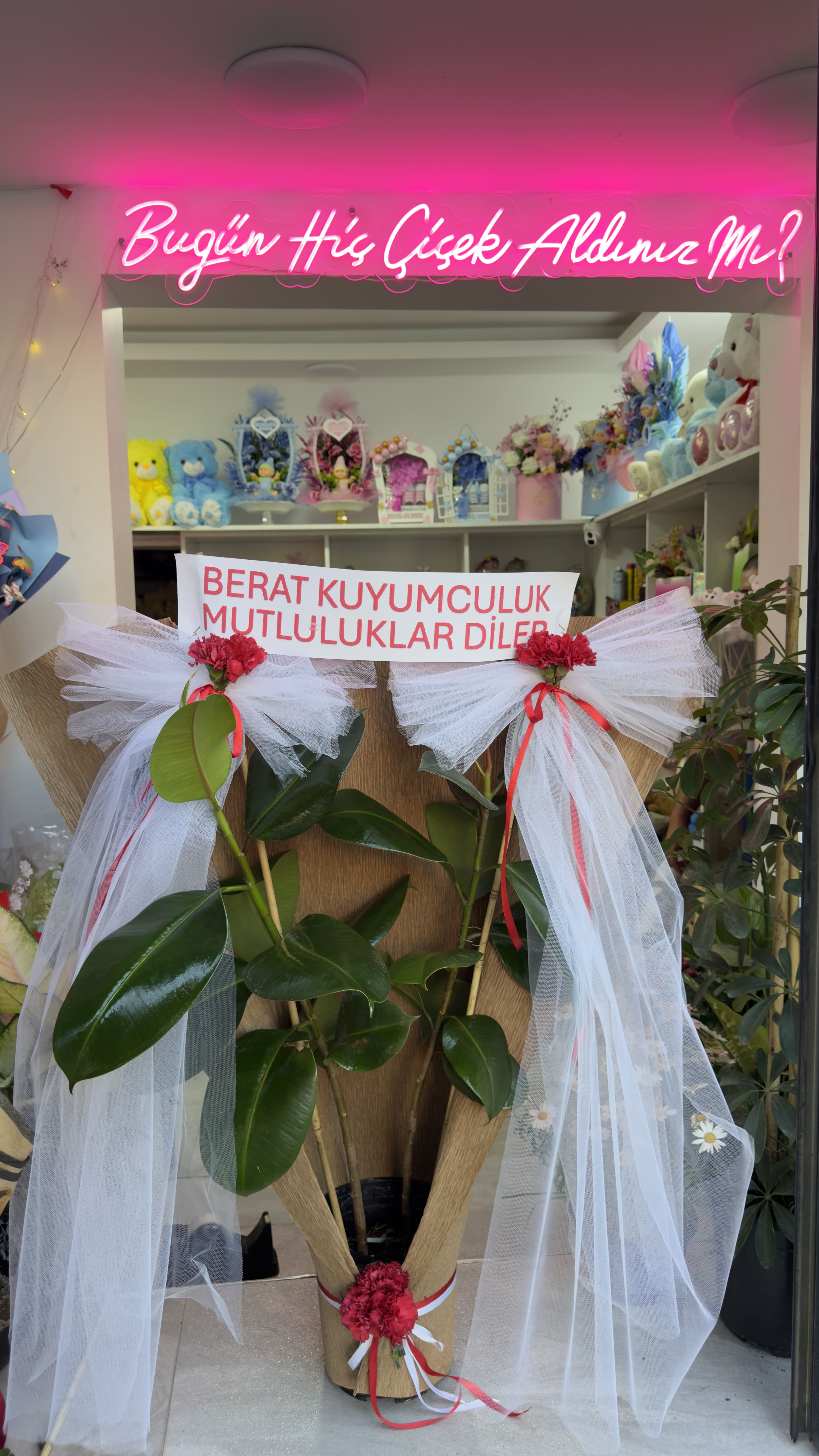 KAUÇUK DÜĞÜN ÇİÇEĞİ