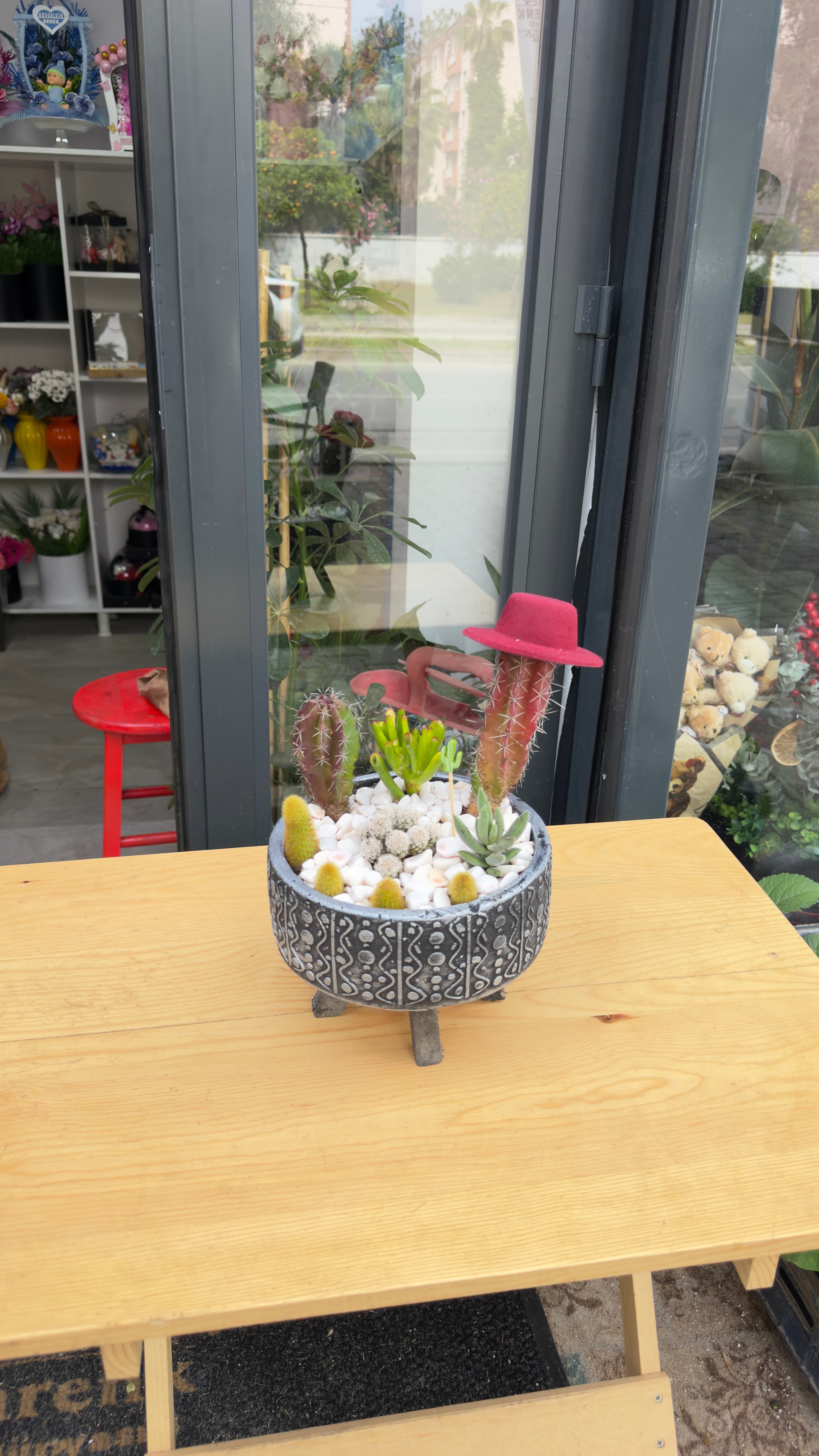 KAKTÜS ARAJMAN 2 🌵