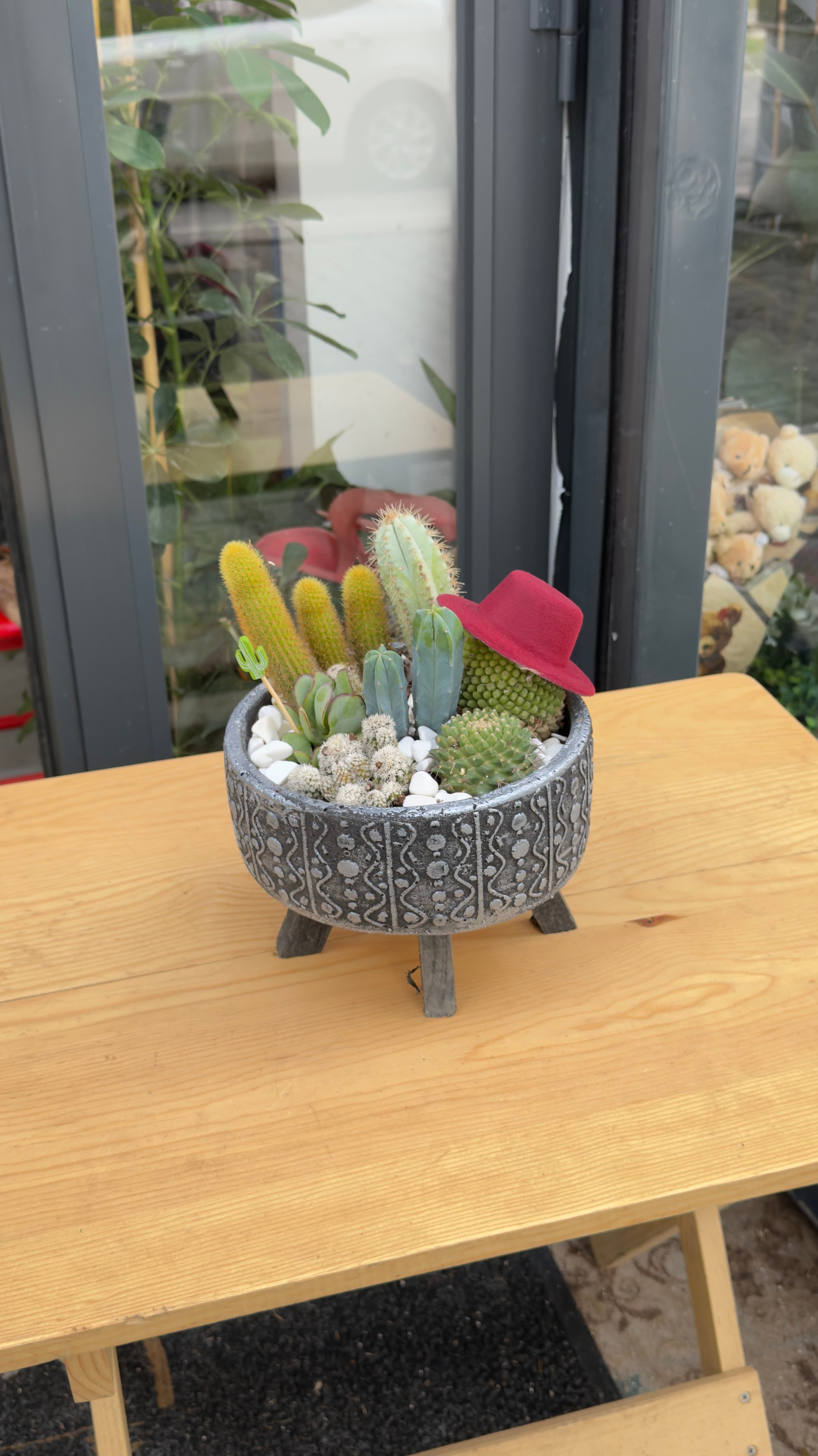 KAKTÜS ARAJMAN 4 🌵