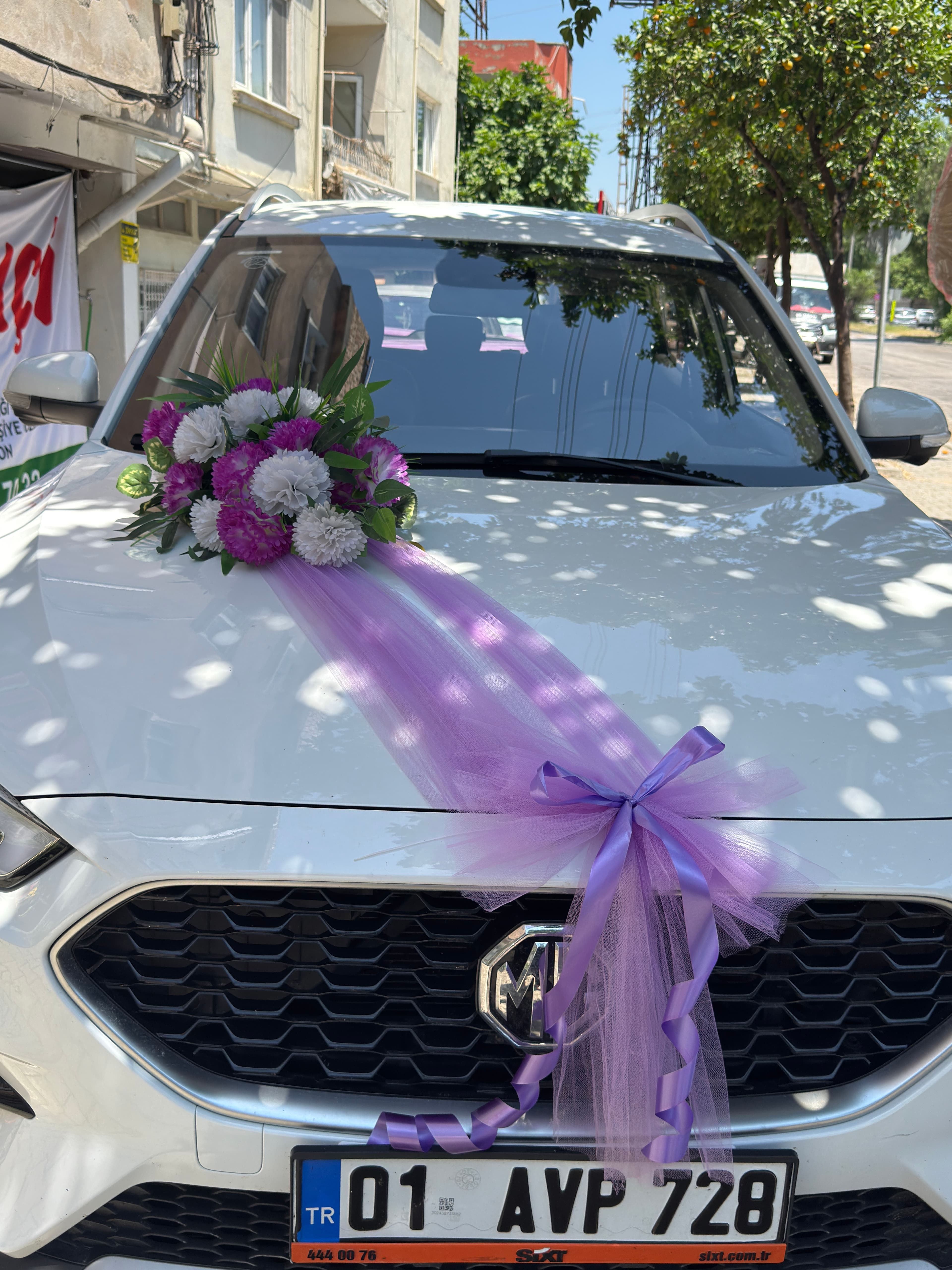 LİLANIN BÜYÜSÜ ARAÇ SÜSLEME 2